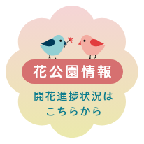 花公園情報 開花情報はこちらから