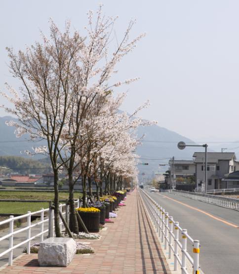 <a href=https://www.town.oto.fukuoka.jp/dynamic/hpkiji/pub/detail.aspx?c_id=3&id=290>さくら街道</a>1