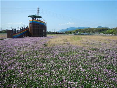 花公園状況