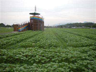 花公園状況