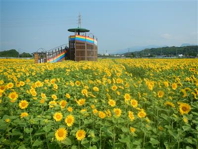 花公園状況