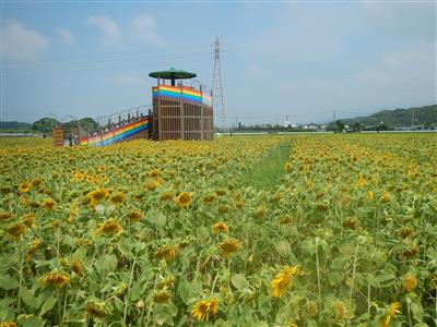 花公園状況