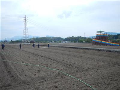 花公園状況