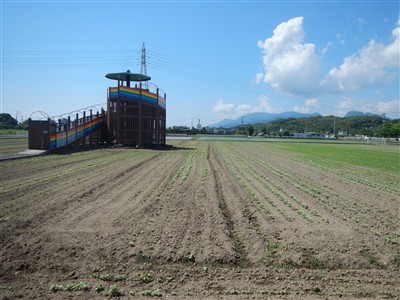 花公園状況