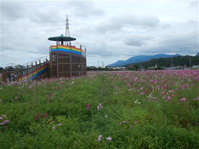 花公園状況