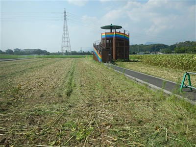 花公園状況