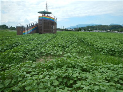 花公園状況