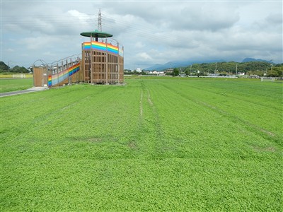 花公園状況